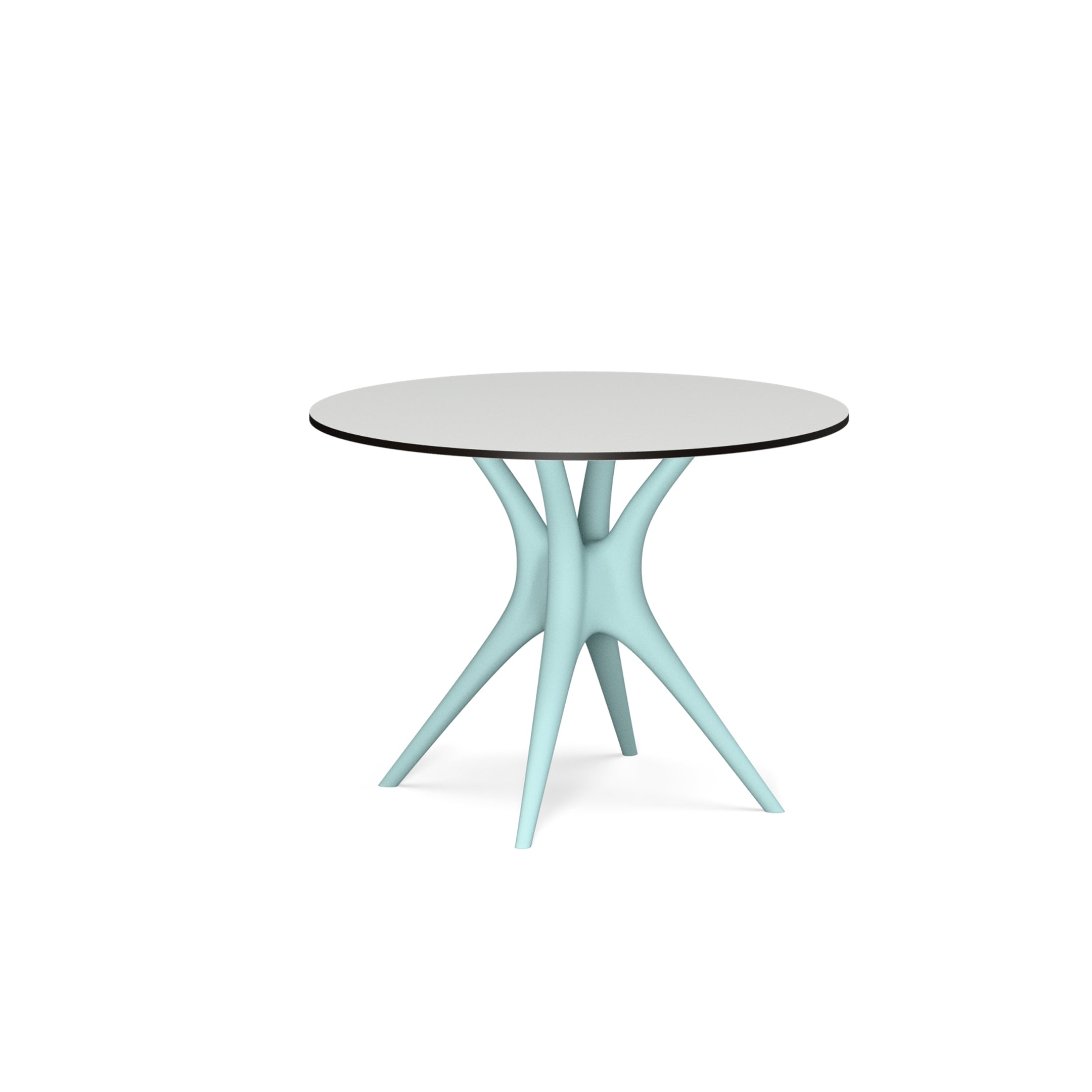 ANIMA table