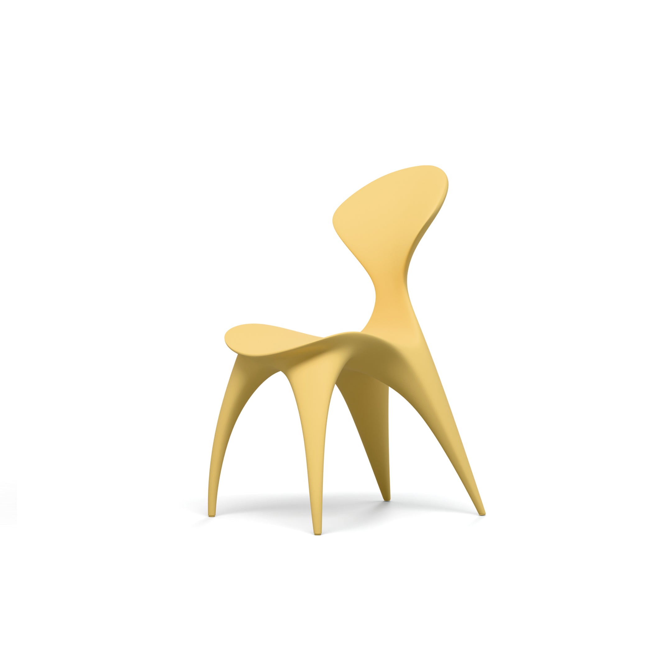 ANIMA chair