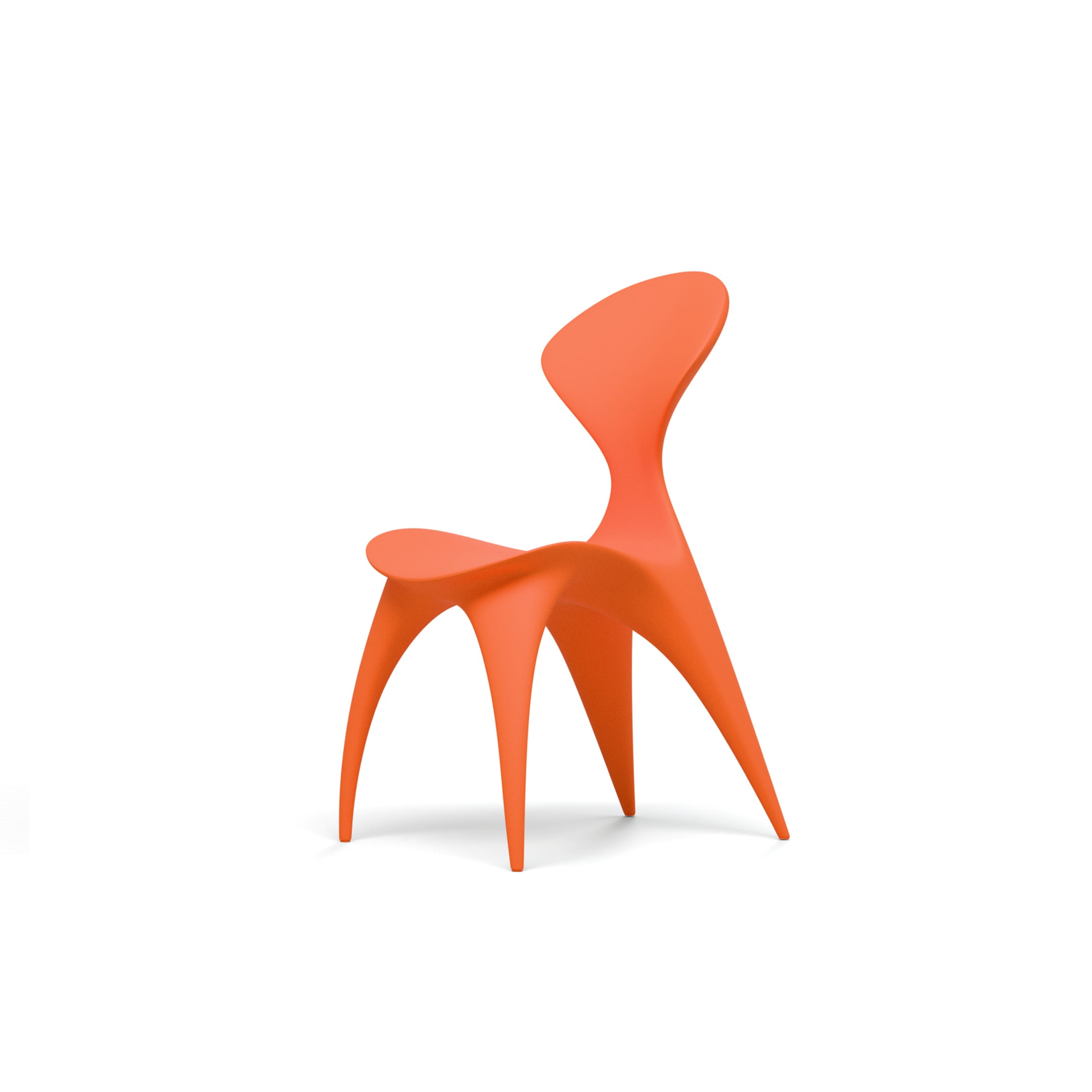 ANIMA chair