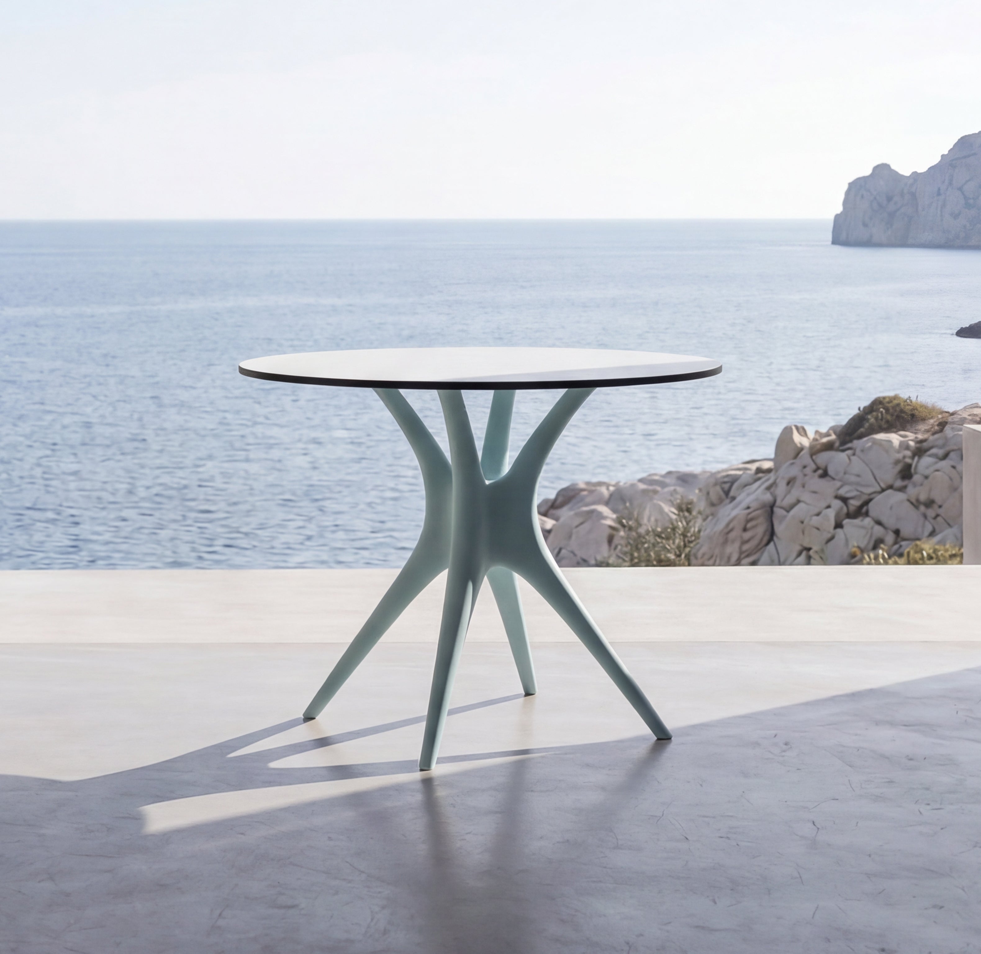 ANIMA table
