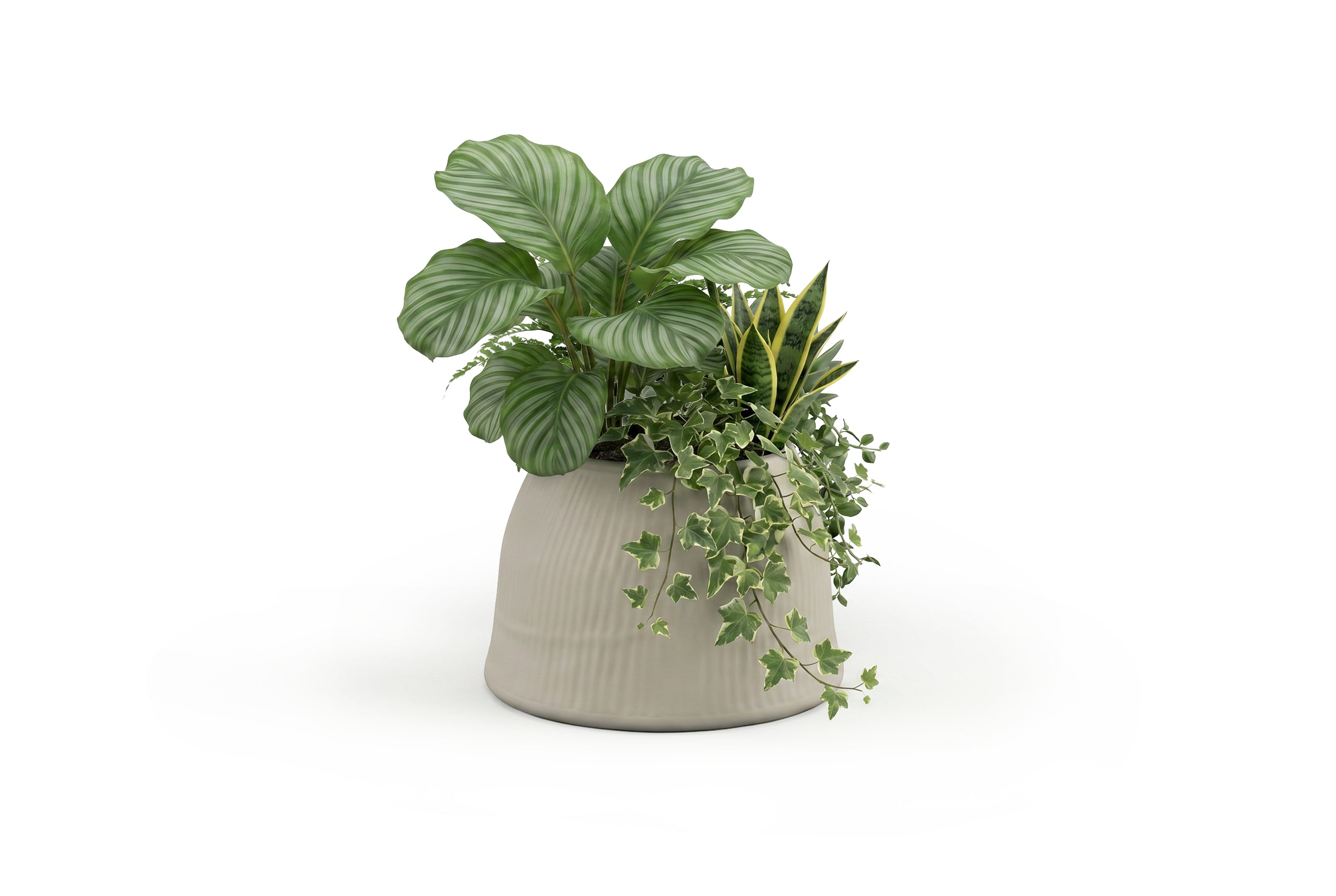 ECHO planter